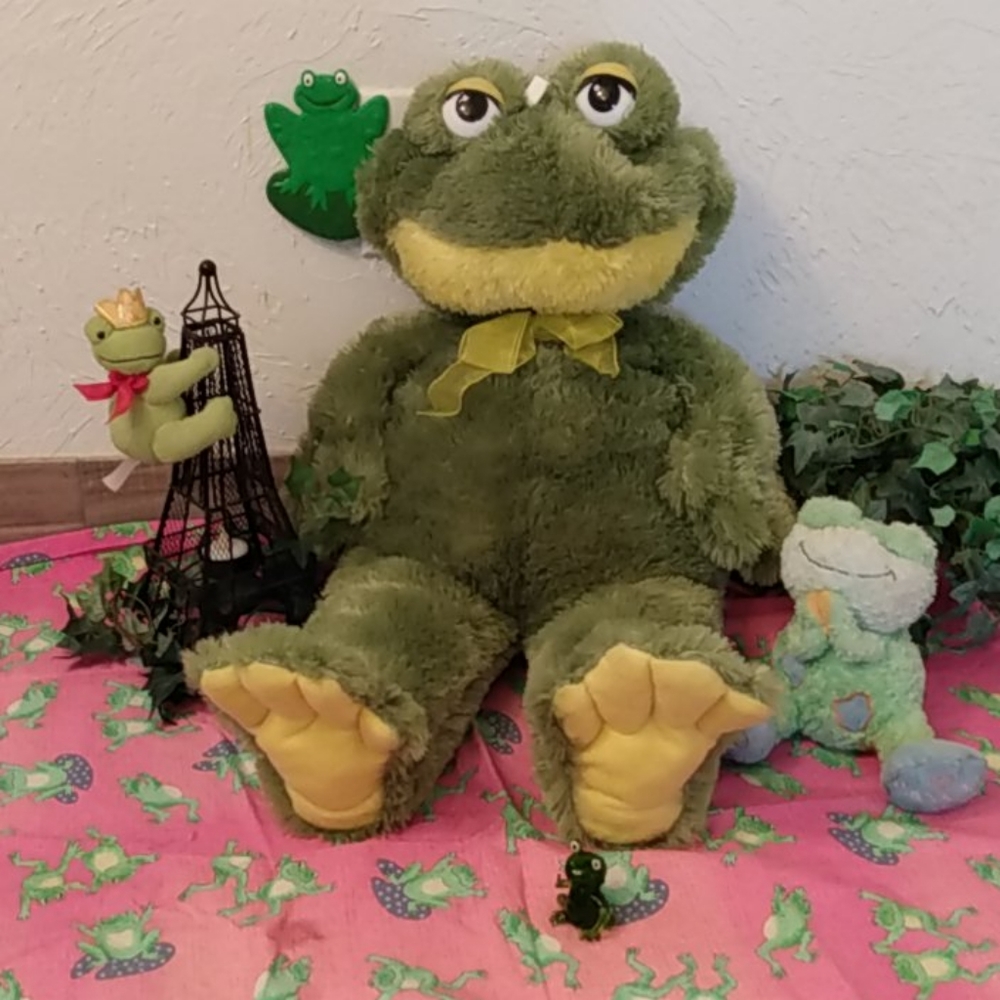 Frog Prince Bundle 6 pieces Total